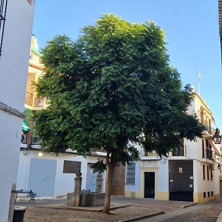 Апартаменты Terraza De La Axerquia Кордова Экстерьер фото