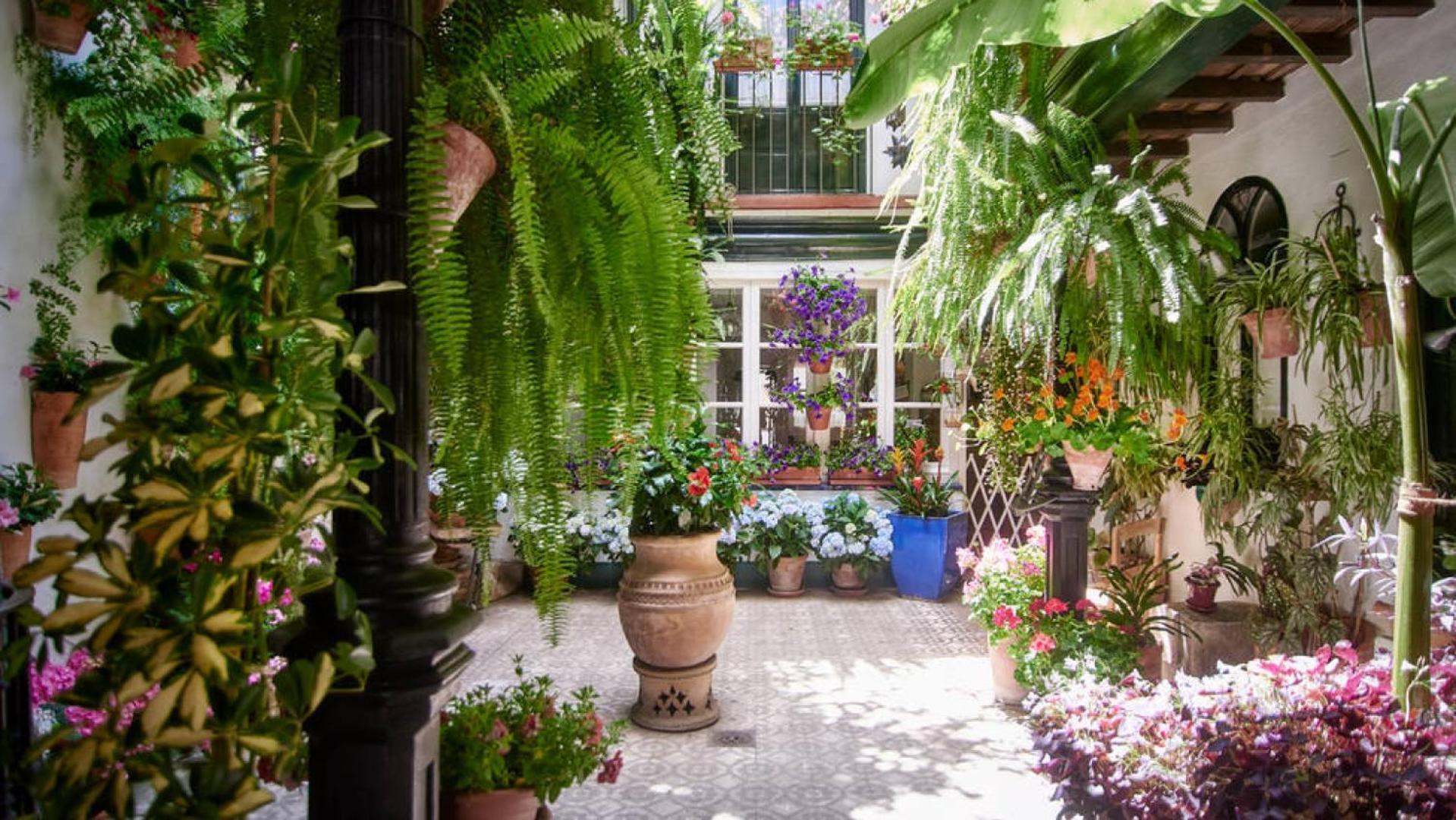 Апартаменты Terraza De La Axerquia Кордова Экстерьер фото